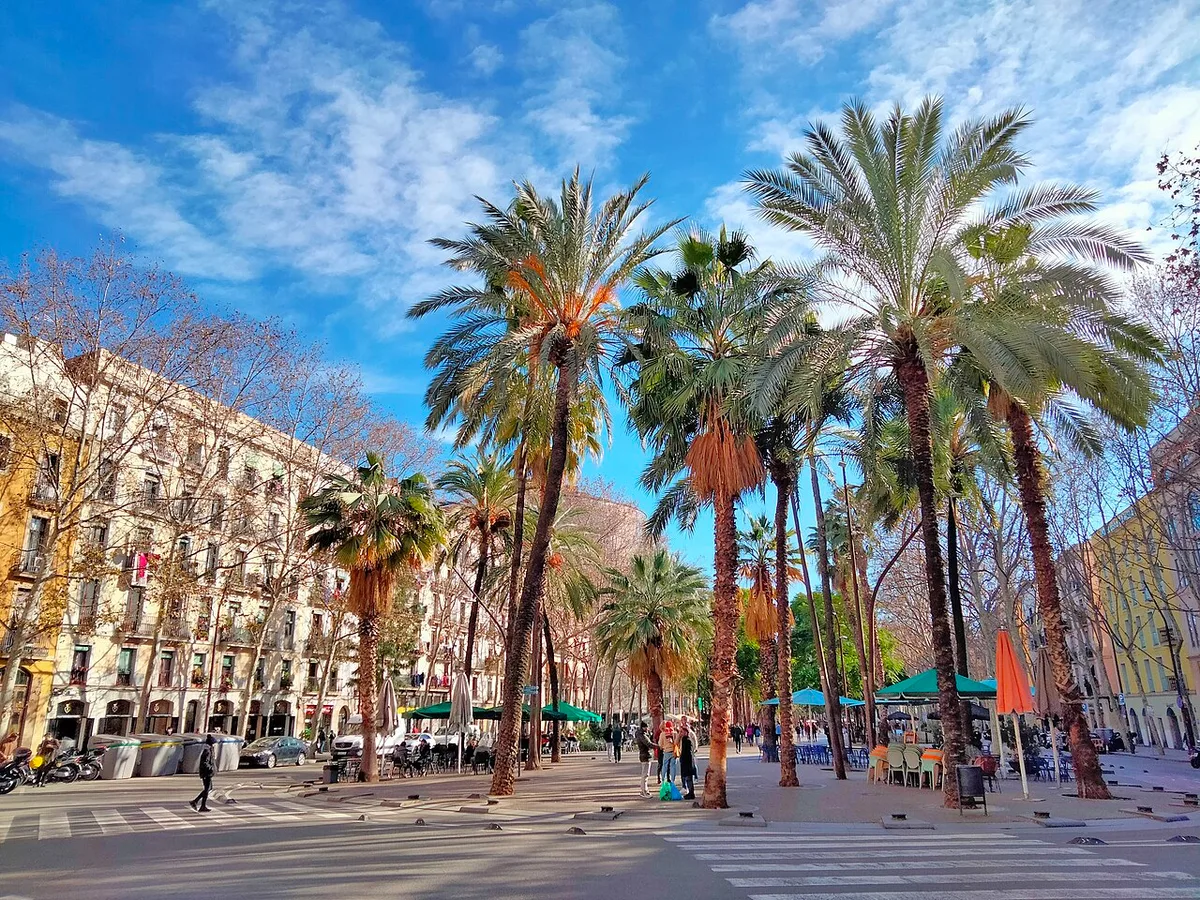De Rambla del Raval met palmbomen en terrasjes in de wijk El Raval, Barcelona