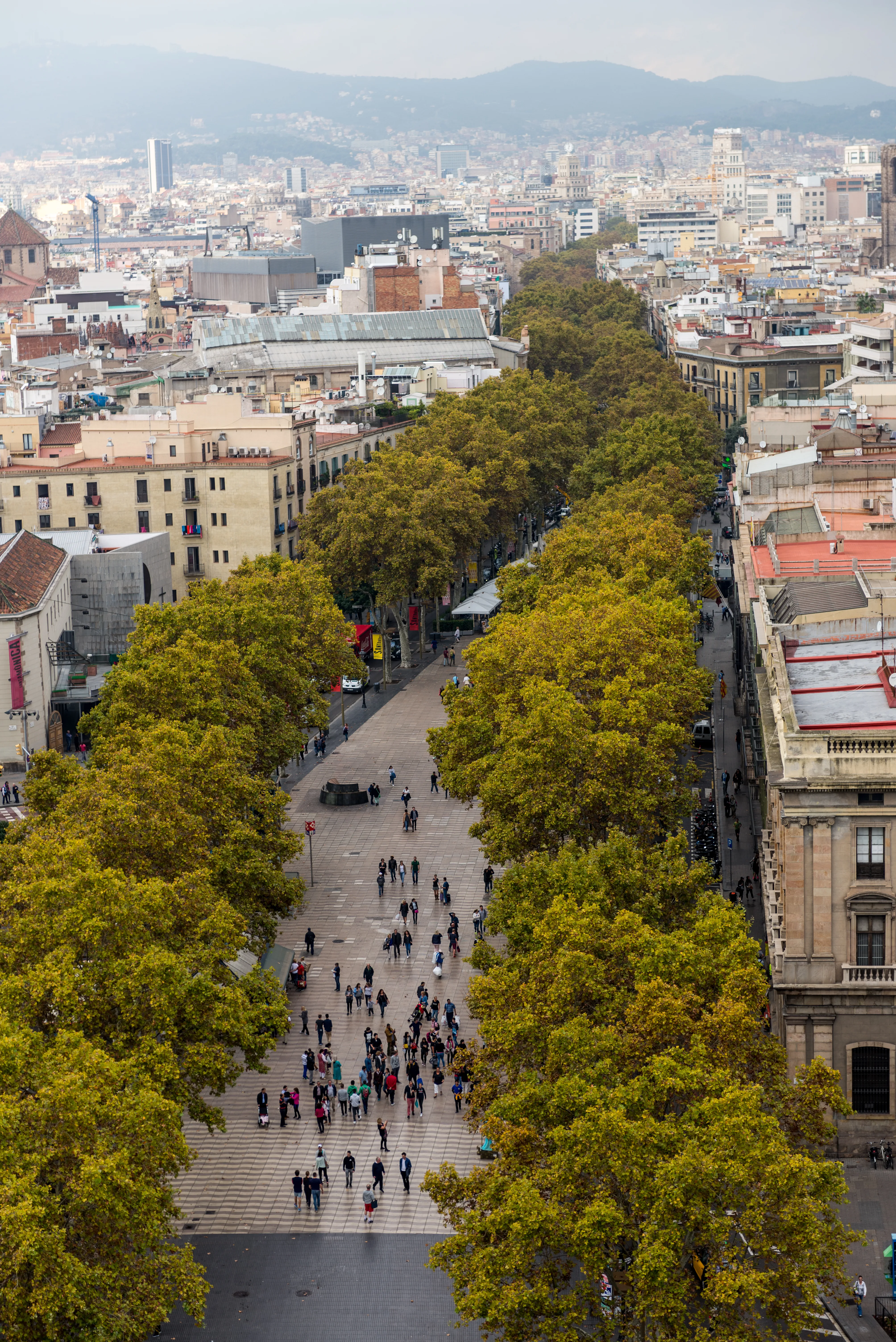 La Rambla in Barcelona overdag, met bomen, bloemenkoopvrouwen en terrassen